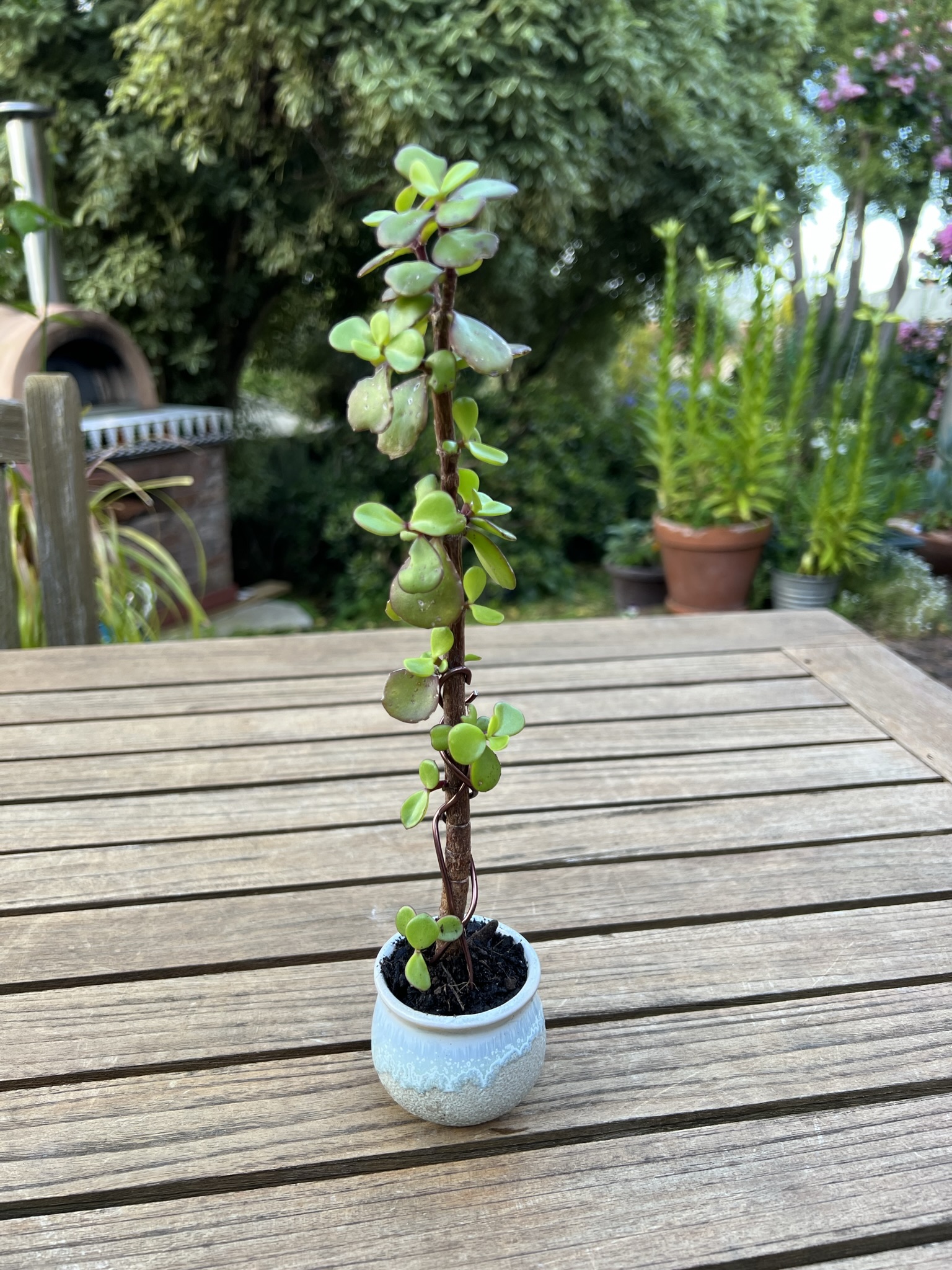 Jade upright